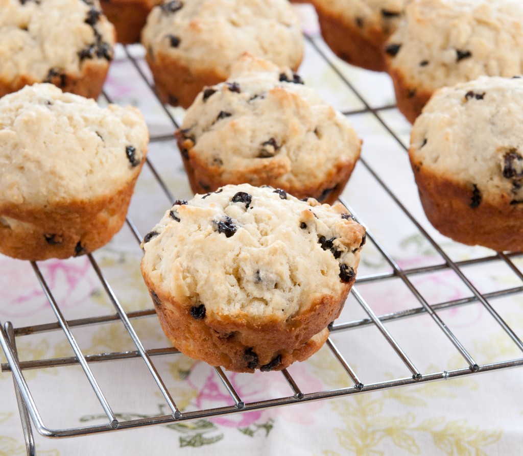 irish soda bread muffins