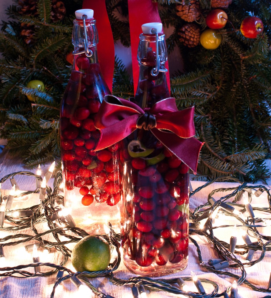 cranberry-lime infused vodka | baked in