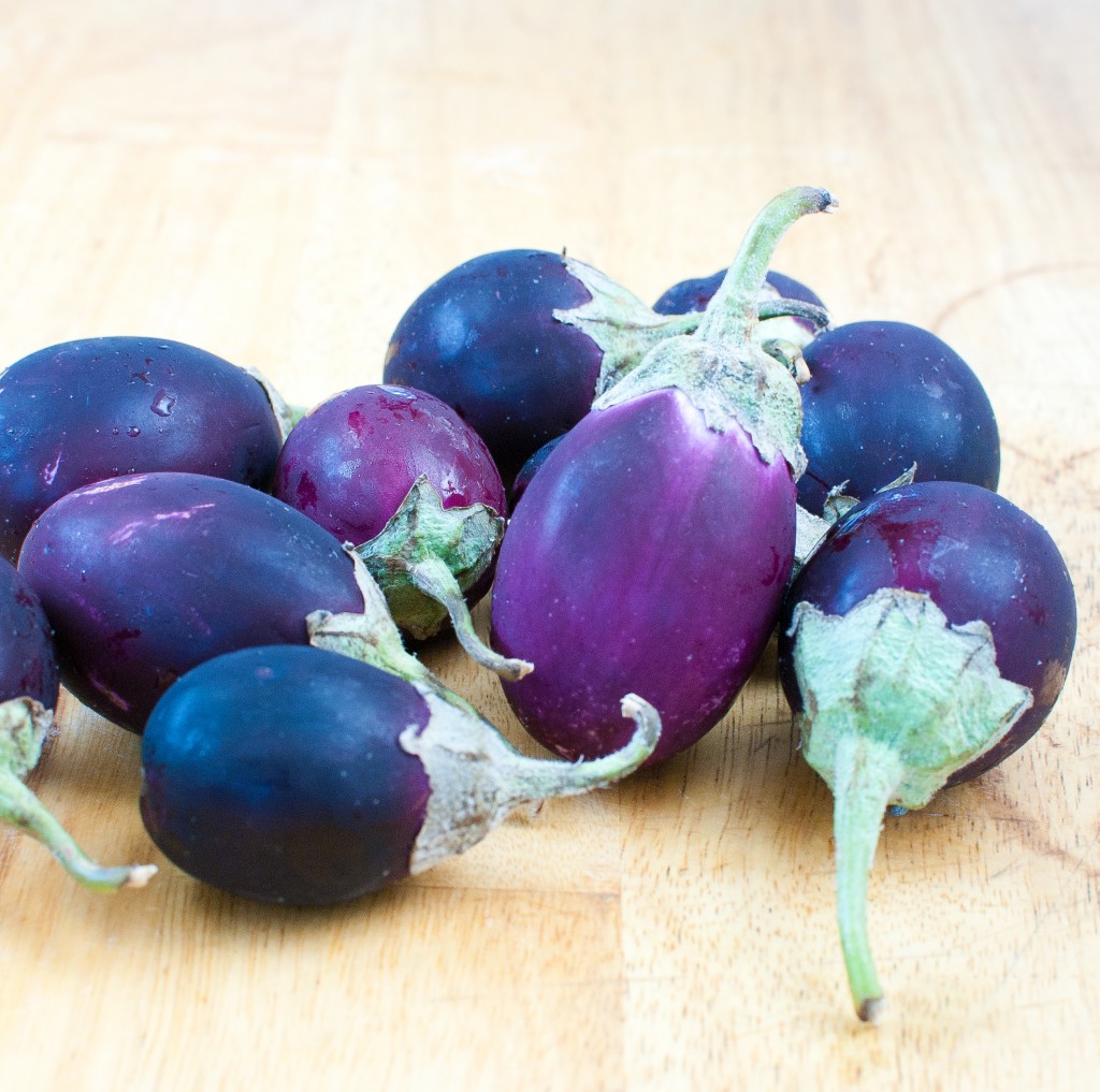 Stuffed Indian Eggplant (vegan, gluten free)