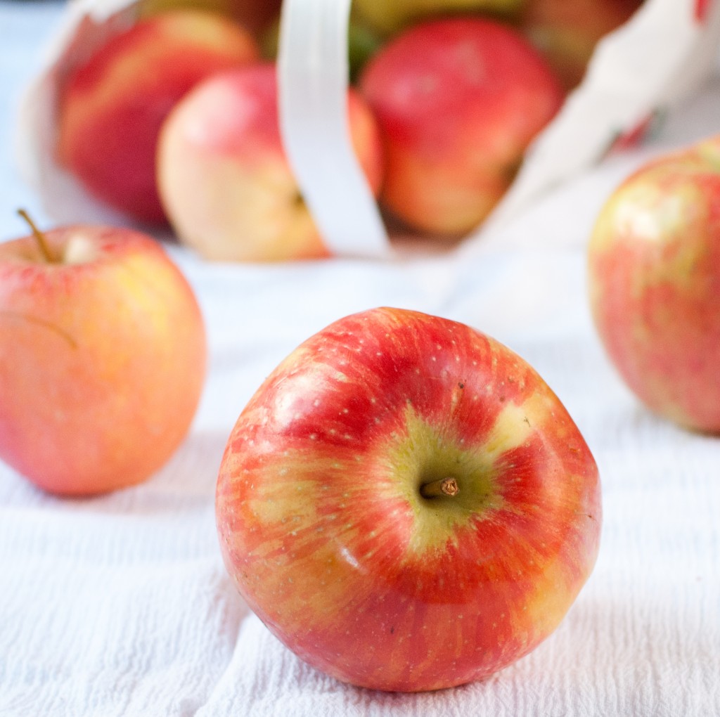 Apple Pie Cocktail