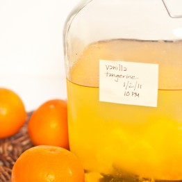 Vanilla-Tangerine Infused Vodka